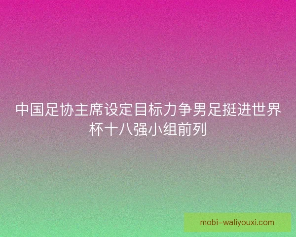 中国足协主席设定目标力争男足挺进世界杯十八强小组前列